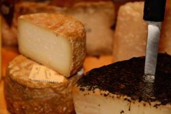 Artisan cheese