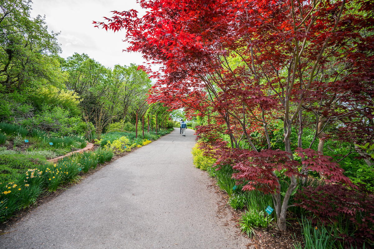 Red Butte Garden