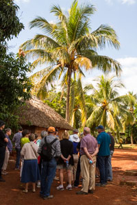 cuba organic farm